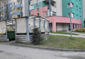 Kam odkládat vánoční stromky