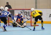 srsni hokejbal