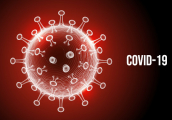 Informace: koronavirus